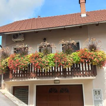 Damjana Žnidaršič